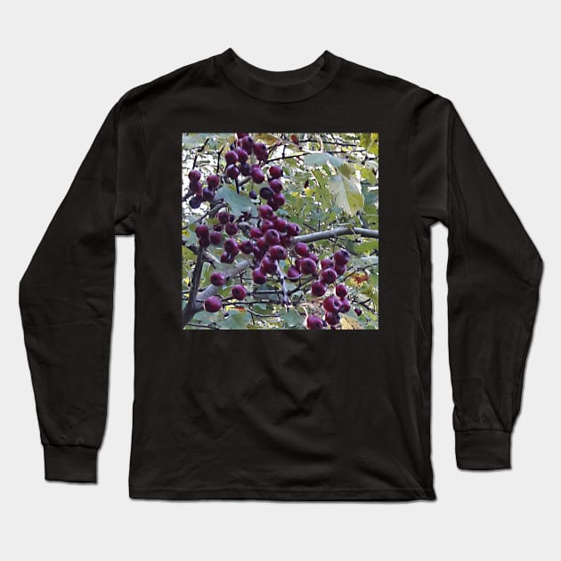 Red berries in Fall Long Sleeve T-Shirt by robelf